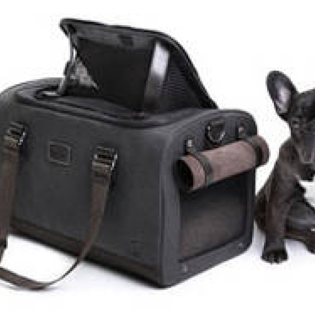 TUMI｜ペットと旅する「Cloud 7 for TUMI」デビュー