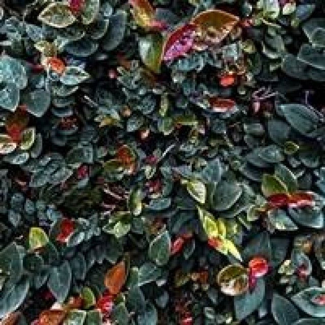 ART｜鈴木達哉写真展『Patterns in Discontinuity』