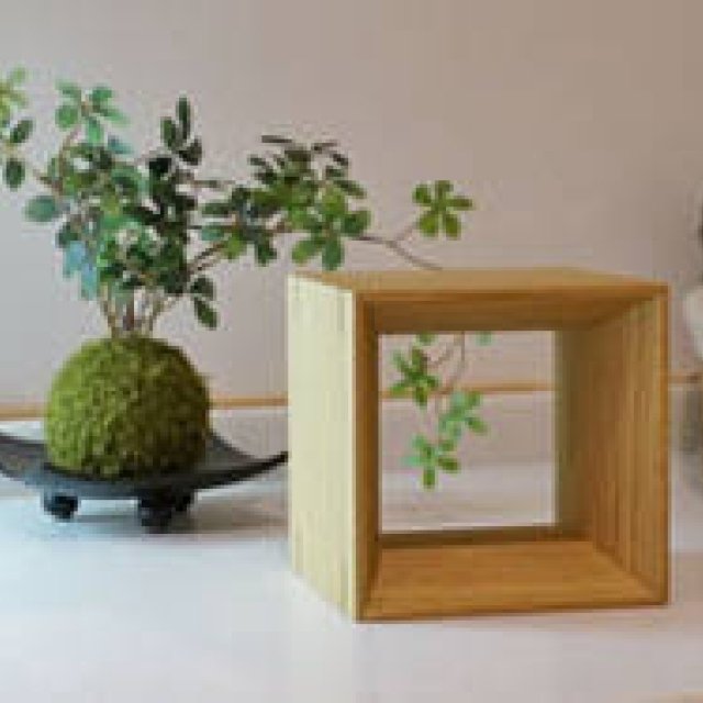 Forest Notes｜「感性の森2014展」開催