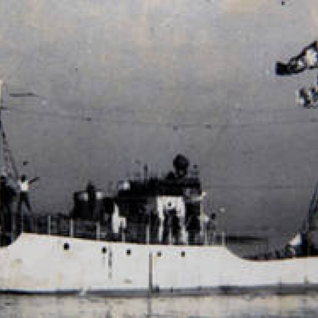 MOVIE｜「グリーンイメージ国際環境映像祭」開催！