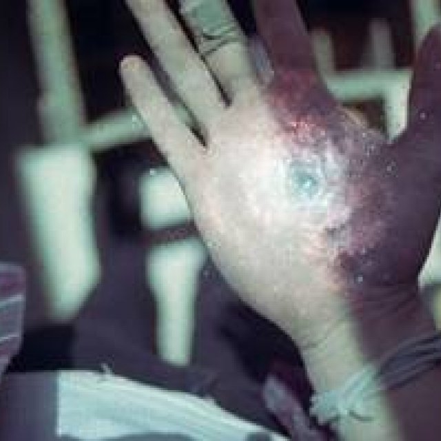 ART｜テオ・ゴセリン展を代官山 蔦屋書店で開催