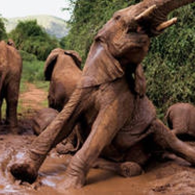 BOOK｜ドキュメンタリー写真の歴史を物語る完全保存版「プレミアム フォト コレクション」