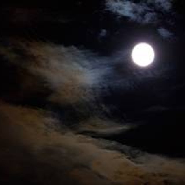 ART｜遠藤湖舟写真展『「そこにある美」立ち止まり、見つめて』