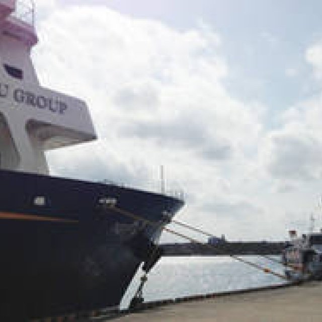 TRAVEL｜週末、縄文杉に会いに行く