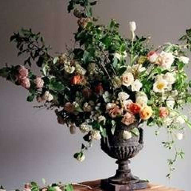 united bamboo｜エイミー・メリックとコラボの限定ストア登場