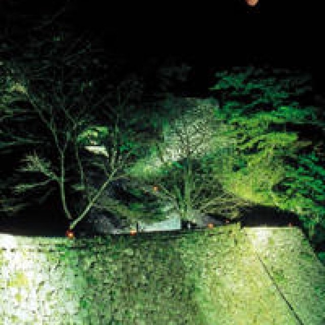 EAT｜大分県竹田市で野外レストラン「DINING OUT TAKETA with LEXUS」開催！