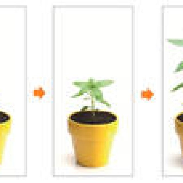 KING JIM｜手軽にインターバル撮影ができるカメラ「レコロ」IR7