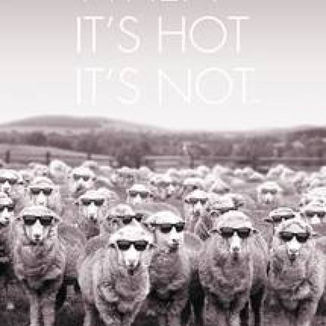 THE WOOLMARK COMPANY｜暑い時に暑くない「クールウール」