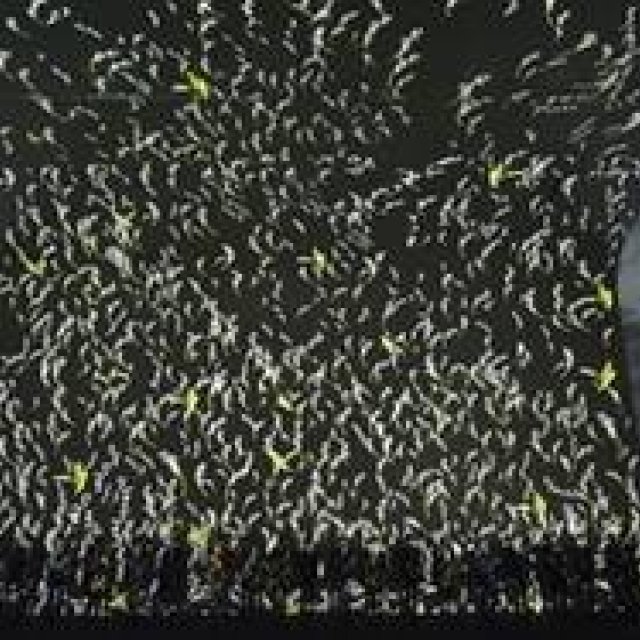 DIOR HOMME｜上海にてランウェイショーを開催