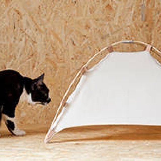 41世紀｜ネコ用テント「#catstudyhouse」登場