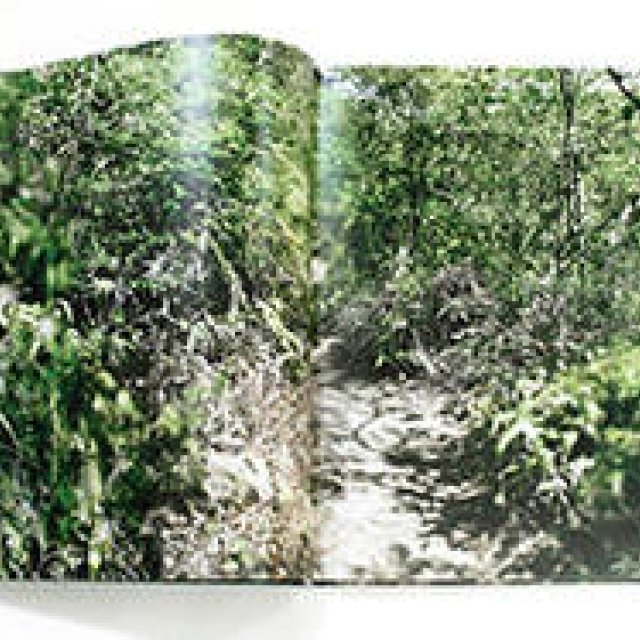 BOOK｜写真家・大島成己『Naruki Oshima  haptic green』出版記念イベント開催