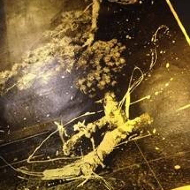 ART｜川上シュン個展『shun kawakami, between art and design展』