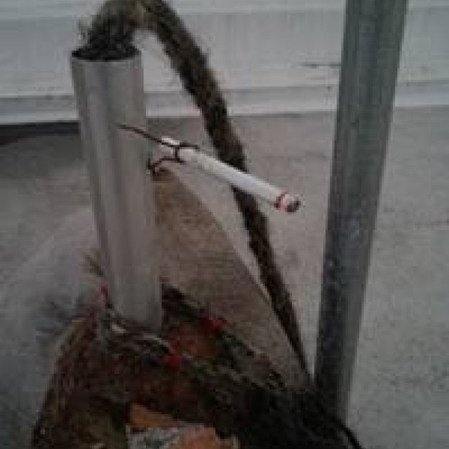 ART｜アブラハム・クルズヴィエイガスによる日本初個展