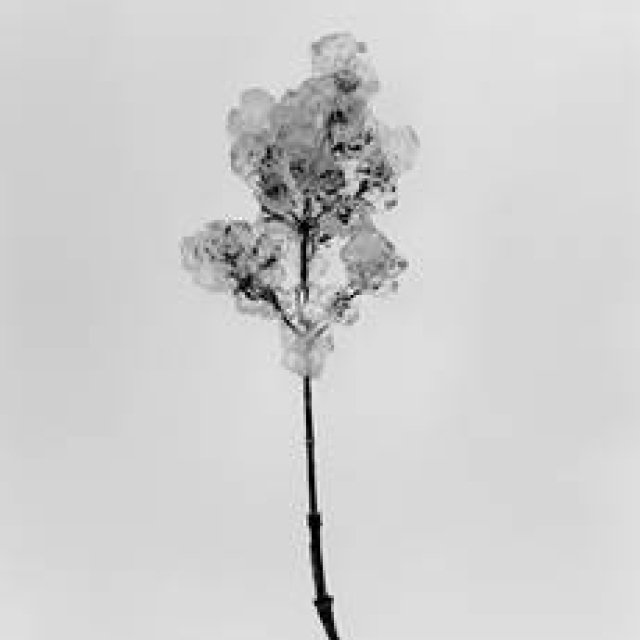 ART｜細倉真弓『Transparency is the new mystery』展をPOSTで開催