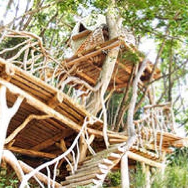 REPORT｜宮城県東松島市でC.W.ニコルらが進める「森の学校」