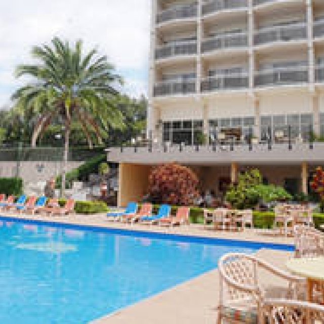 特集｜アフリカ霧中紀行｜マウンテンゴリラを探して