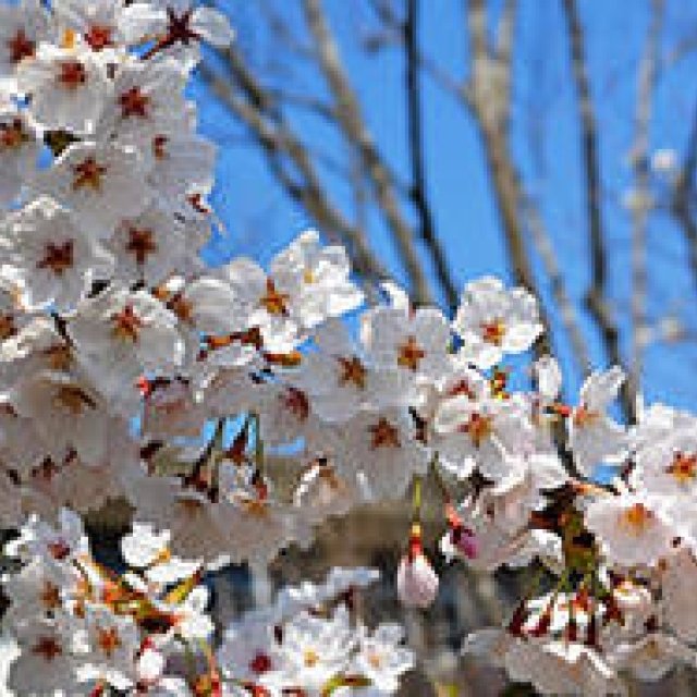 新連載｜気仙沼便り｜9月「新しいふるさとを作る」