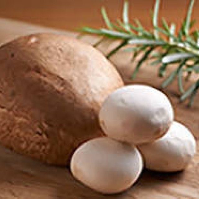 EAT｜グランド ハイアット 東京「ポータベロマッシュルームバーガー」提供