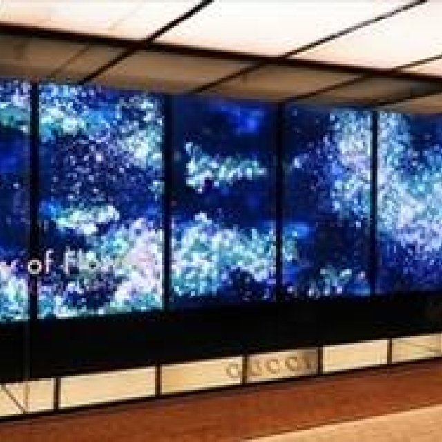 GUCCI｜チームラボとのコラボ新作「Infinity of Flowers」を公開