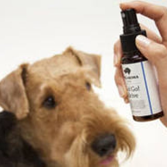 Takakura｜ペットにも飼い主にも快適で安全な最新アイテム