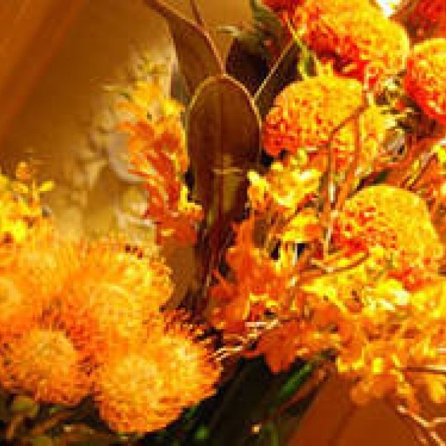 連載・和気雅美｜“大人ハロウィン”2014はカナリアイエローとブラックで