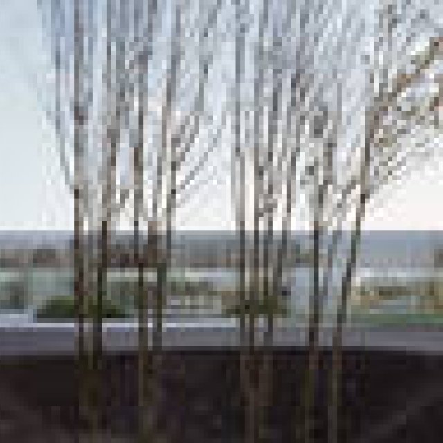 AAF｜建築レクチュアシリーズ217 建築家・西沢立衛氏が生み出す作品の本質