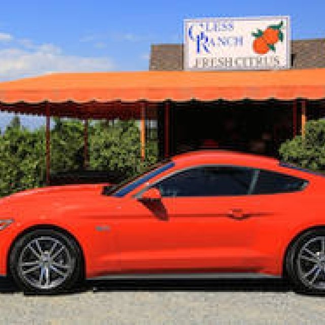 新型フォード マスタングに本場アメリカで乗る｜Ford