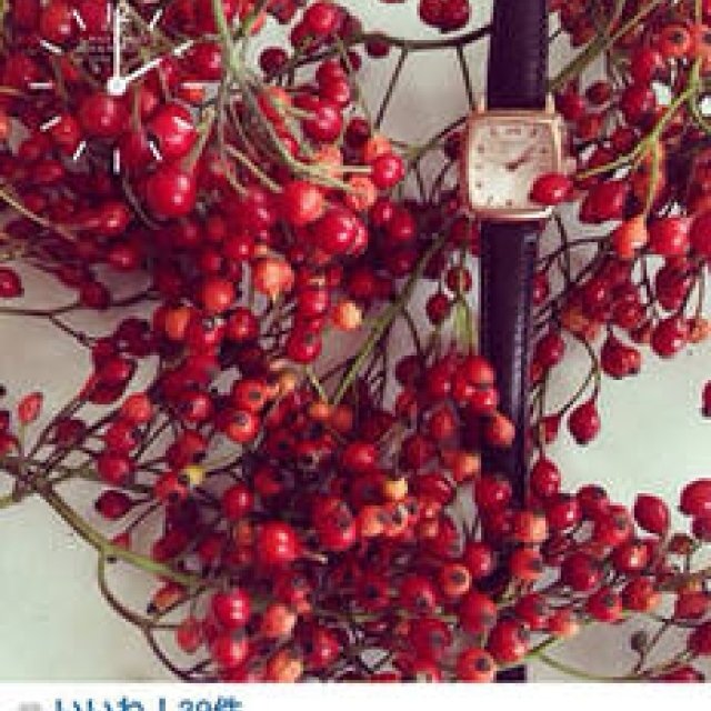 10人の女性が時を告げる「instagramキャンペーン」スタート｜MARGARET HOWELL idea watch