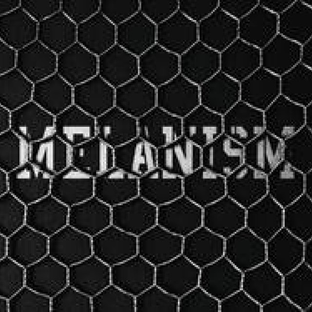 黒色に染まる「MELANISM」開催｜the POOL aoyama