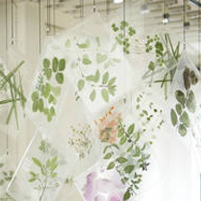 EAT｜目で味わい、舌で楽しむ、新感覚のハーブティー誕生