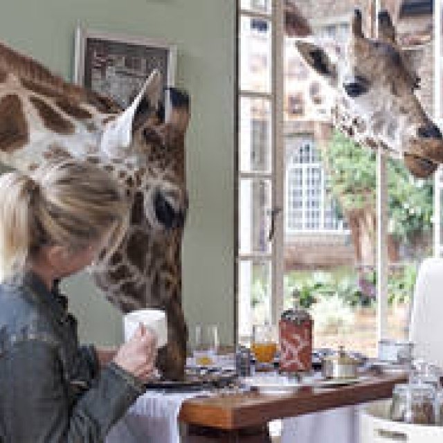 BOOK｜『死ぬまでに行きたい！世界の絶景』から絶景を楽しめるホテル編が登場