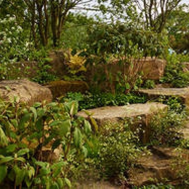 ローラン・ペリエがチェルシーフラワーショー2015で「ベスト・イン・ショー」に輝く｜Laurent-Perrier