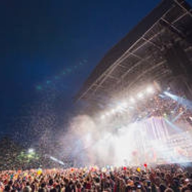 大人が楽しめる夏の音楽フェスティバル 2015|特集