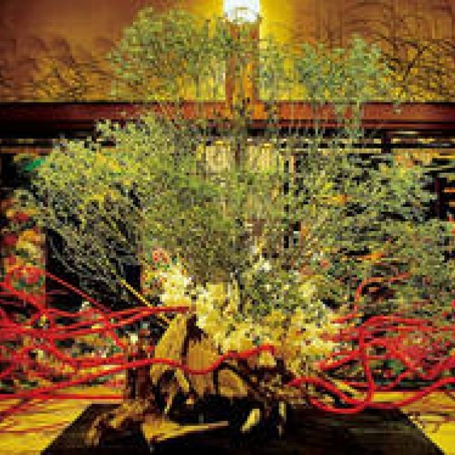 琳派400年、徳川家康没後400年を飾る「假屋崎省吾の世界展」開催｜日本橋三越本店