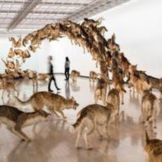 中国出身の現代アーティスト 蔡國強による『帰去来』展｜YOKOHAMA MUSEUM OF ART