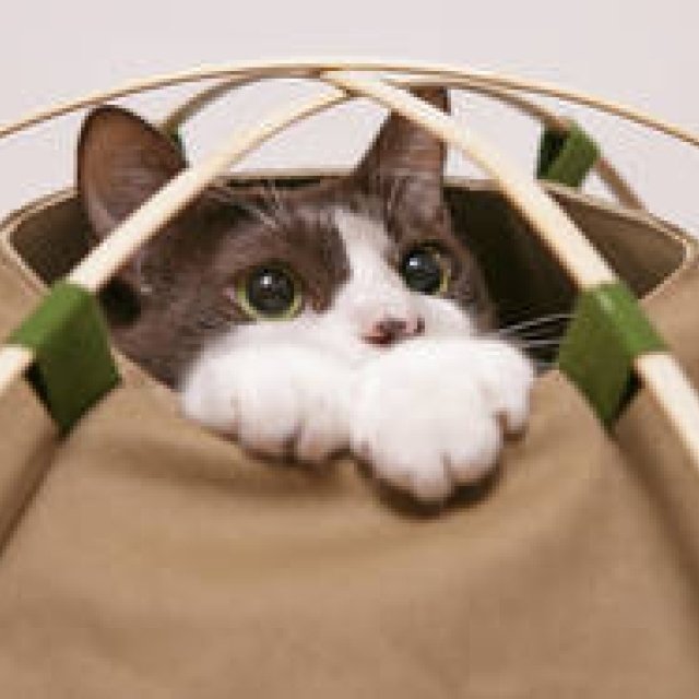 PRODUCT Tokyo Tips|2015年10月 新製品情報を厳選して紹介