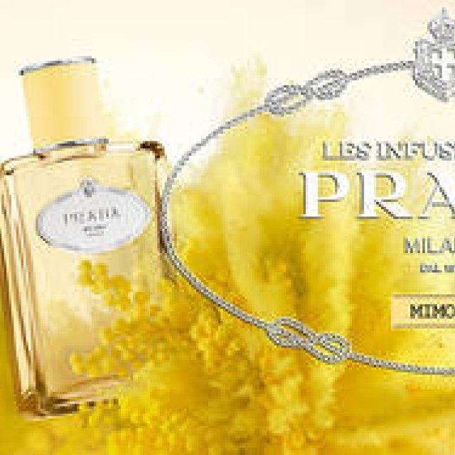 「インフュージョン ドゥ プラダ」コレクションに「ミモザ」の香りが登場｜PRADA