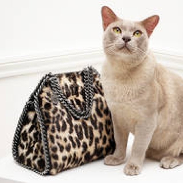 ステラ マッカートニー、阪急うめだ本店でポップアップストアを開催｜STELLA McCARTNEY