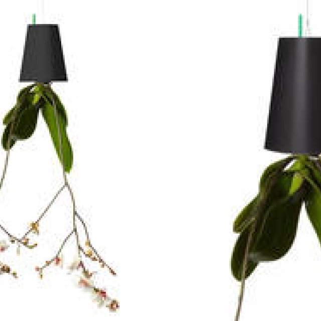 植物が“逆さま”に成長？！植木鉢「スカイプランター」に新色登場｜Boskke 