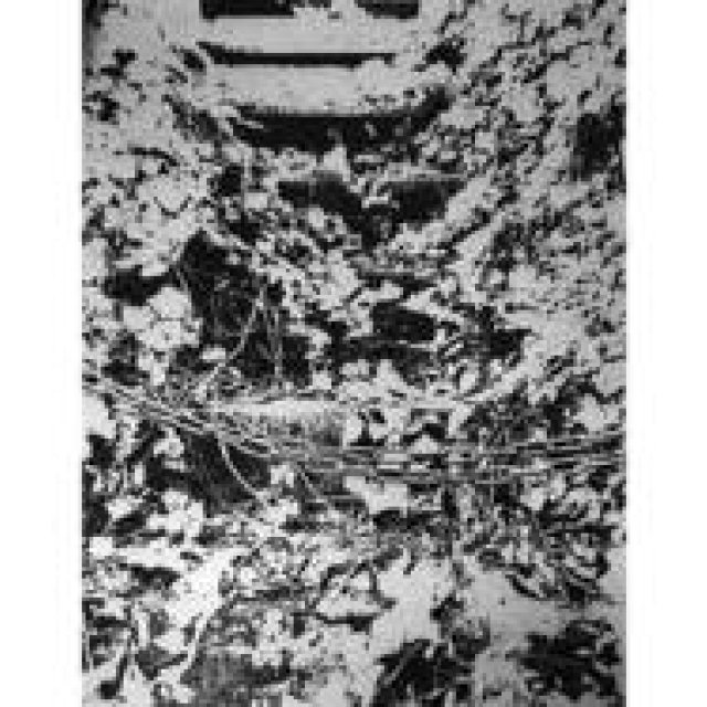 線香画家、市川孝典氏の個展「grace note」が開催｜ART