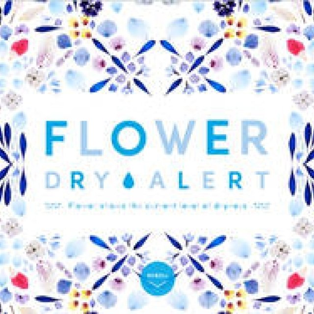 “乾き”を表す新感覚WEBアートコンテンツ「FLOWER DRY ALERT」｜ART