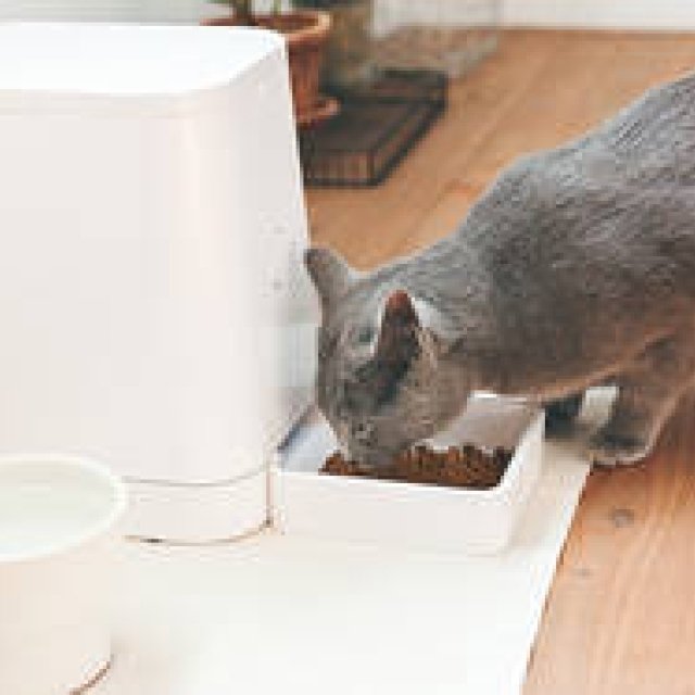 猫・小型犬用自動給餌器「PETLY」最新モデルが登場｜RINN
