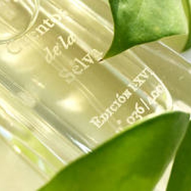 【3/3発売】子どもと大人でシェアする香水「Cuentos de la Selva」発売｜FUEGUIA 1833