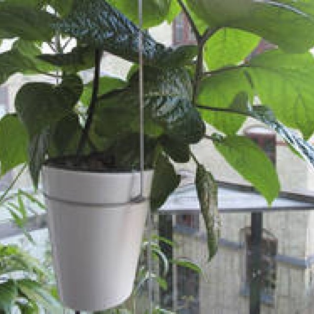 世界的な設計事務所「BIG」が考案する水耕栽培システムとプランター｜DANESE