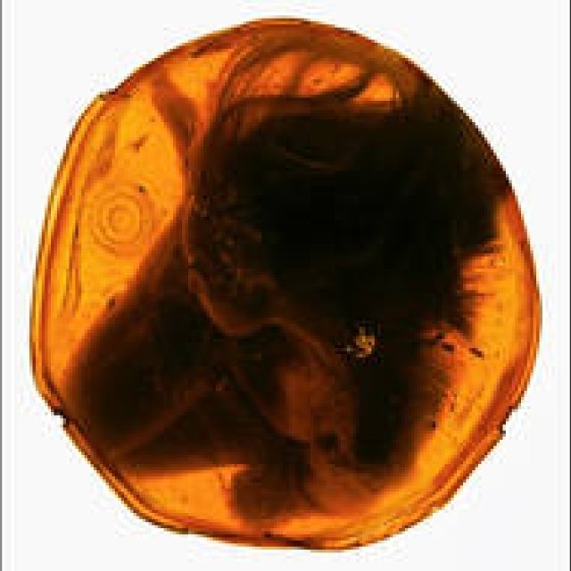 アートディレクターにChim↑Pomを起用。jan and naomiのニューアルバム「Fracture」｜MUSIC