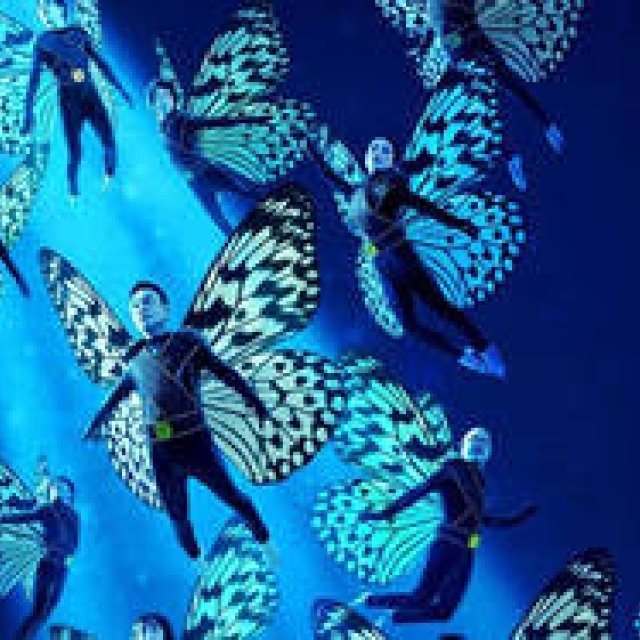 カムカムミニキーナ公演『蝶つがい』｜THEATER