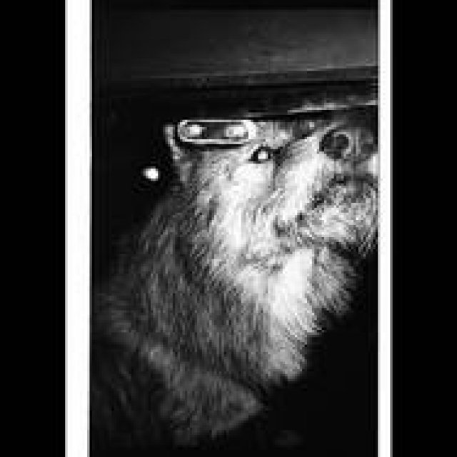 90年代のクラブシーンを収めた写真集「90 Nights」｜LOUNGE