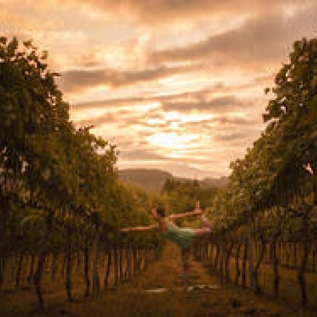 通は知っている！　こだわりの八ヶ岳シャルドネを堪能する「シャルドネステイ」｜TRAVEL