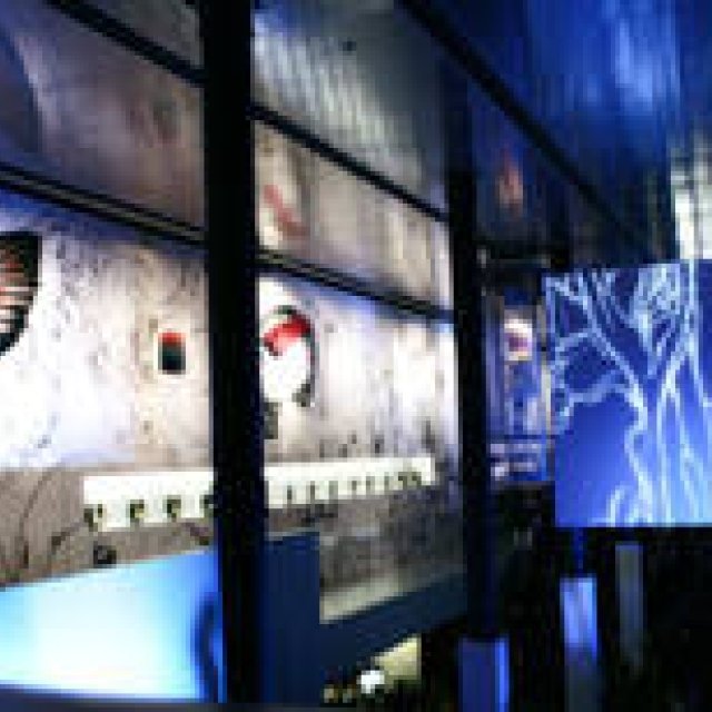  PRADA Trembled Blossoms ギャラリー