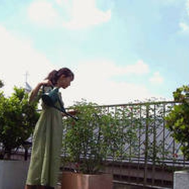  藤原美智子さん特集3回目 photo